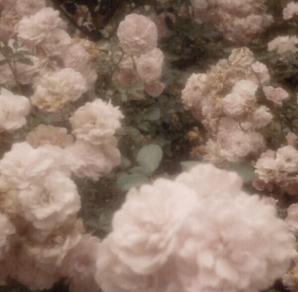 💌お礼〜次回の出勤〜