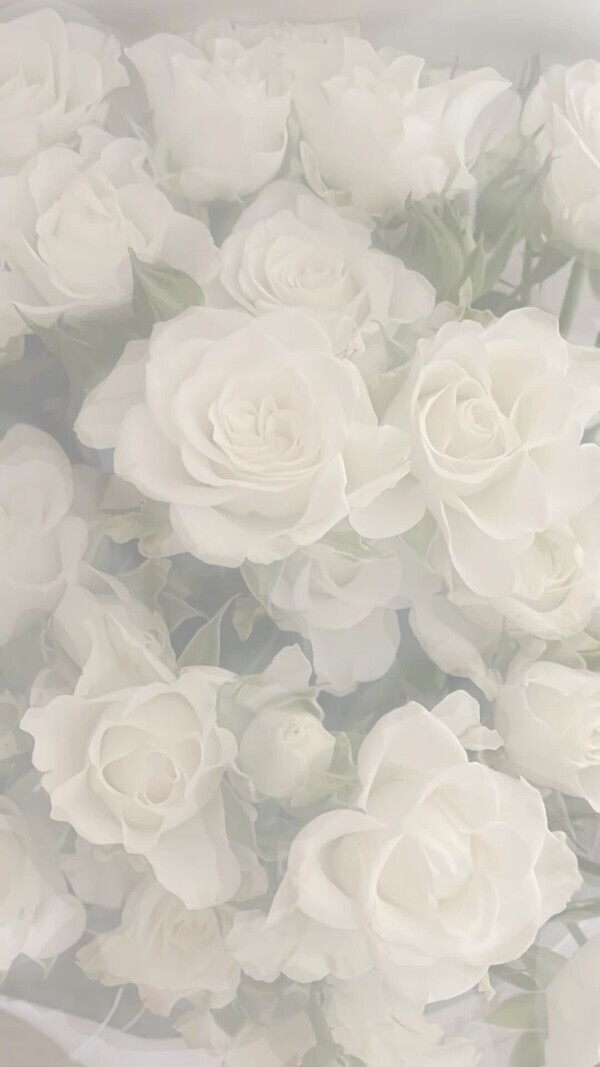 おやすみです。