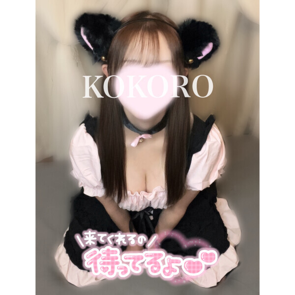 飼い主募集➰😽💫💕