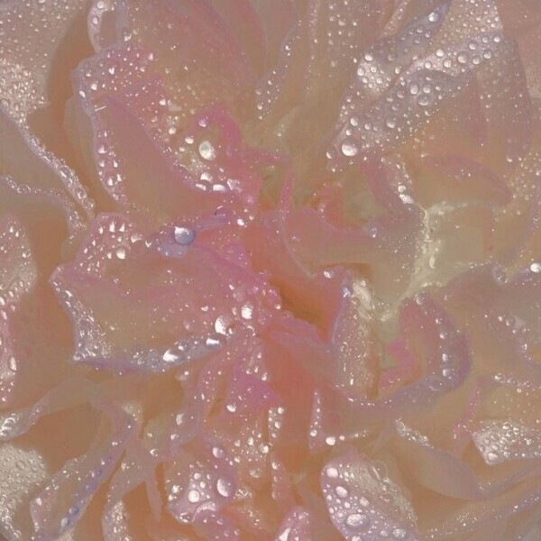 おはよ( ◜︎࿀◝︎ )⛅️