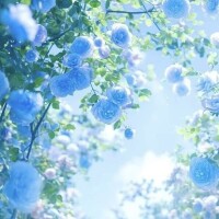 おはようございます¨̮♡