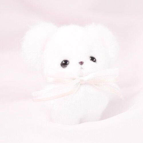 10時半からです🙇🏻