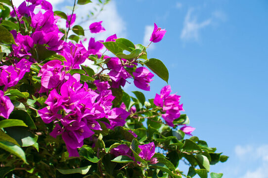 午後もいっしょにすごそ🫶🏻