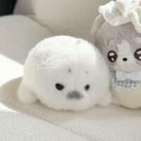 おはよ〜🦭🫧