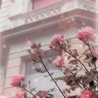 おはよ( ◜︎࿀◝︎ )⛅️