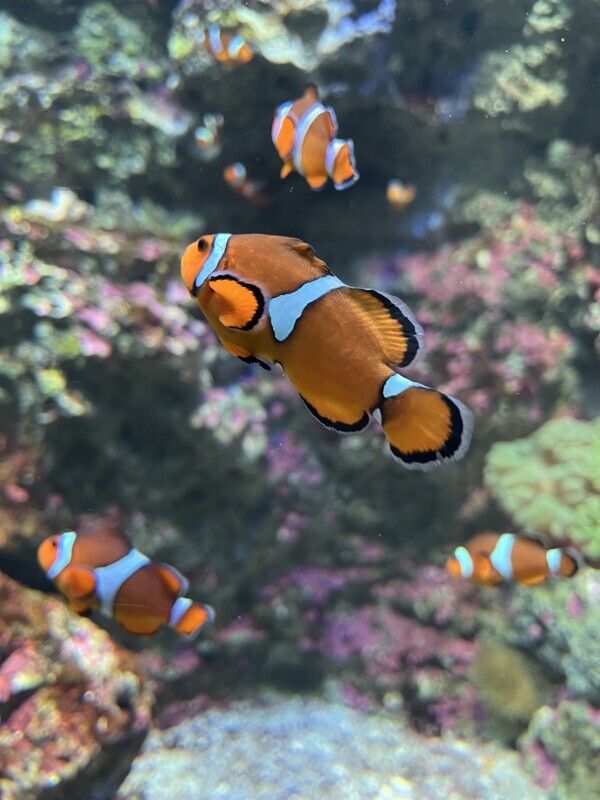 本日お休みです🙇🏻‍♀️‪‪