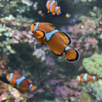 本日お休みです🙇🏻‍♀️‪‪