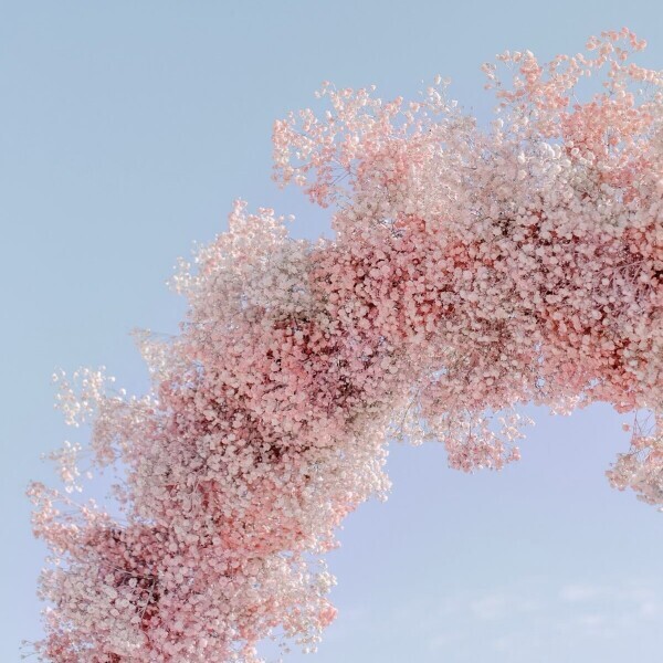 💌お礼〜次回の出勤〜