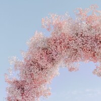 💌お礼〜次回の出勤〜