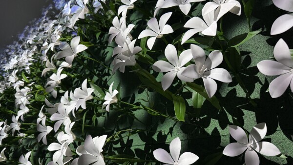 三連休前の金曜日🫧