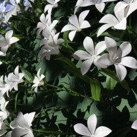 三連休前の金曜日🫧