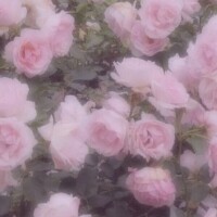 おはよ( ◜︎࿀◝︎ )⛅️