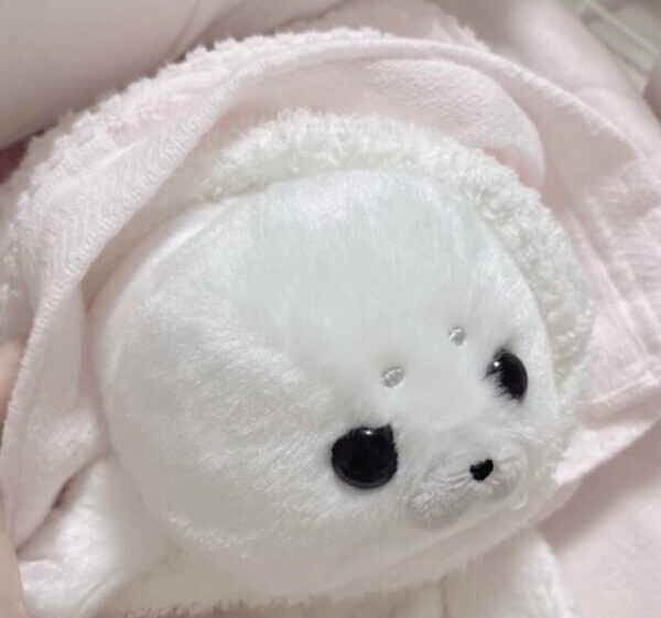 まってます🦭💕