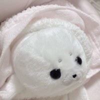 まってます🦭💕