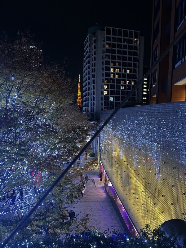 13お休みになりました🙀