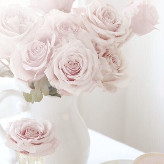 お知らせ📢💭