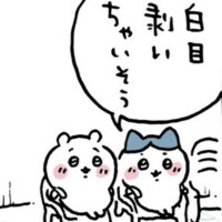本日は…