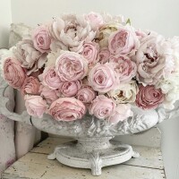 おはよ(ノ)･ω･(ヾ)⛅️