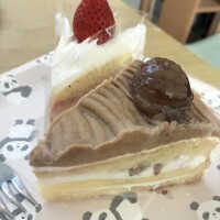 29日、2025年ありがとうございました！