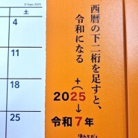 あけおめにゃーん