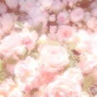 💌お礼〜次回の出勤〜