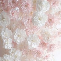 おはよ(ノ)･ω･(ヾ)⛅️