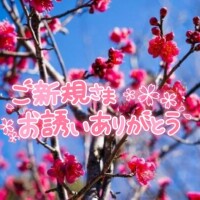 おやすみの人集まれ～っ⸜🌷︎⸝‍