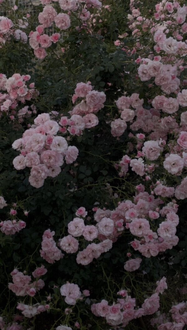 今日もいます❤️‍🔥