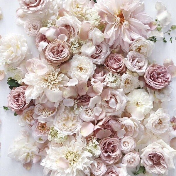 おはよ(ノ)･ω･(ヾ)⛅️