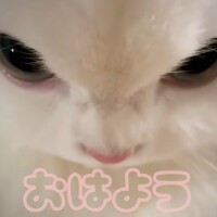 おはよ(ノ)･ω･(ヾ)⛅️