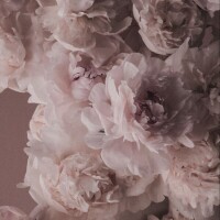 💌お礼〜明日の出勤〜