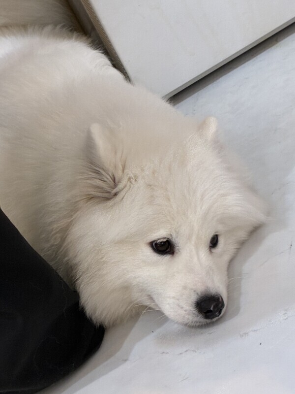 本日出勤しています✌️✨