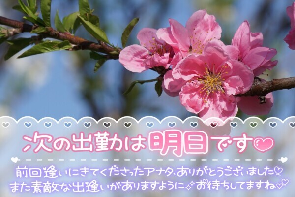 3月始まり～っ🌷明日もいるよ🌱‬‪