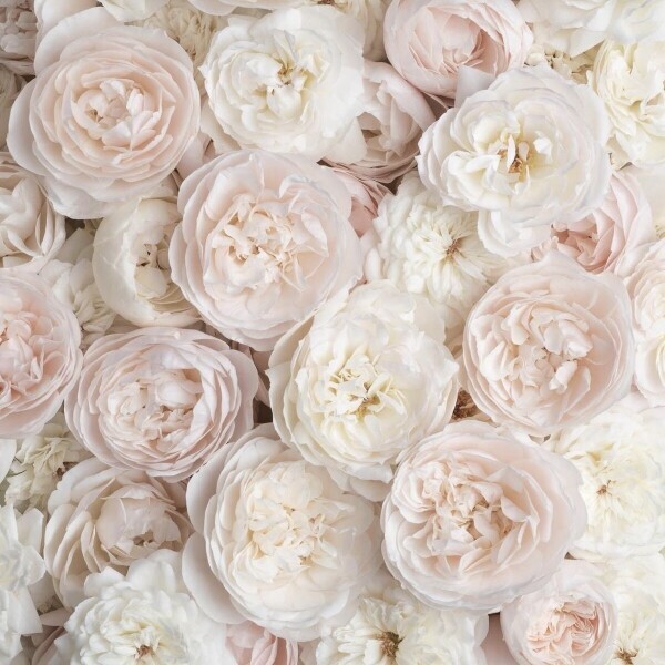 💌お礼〜明日の出勤〜