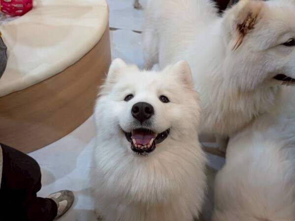 本日出勤です❣️