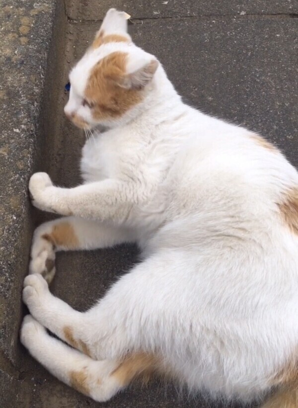 今日のお礼☆彡