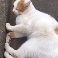 今日のお礼☆彡