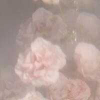 💌お礼〜明日の出勤〜