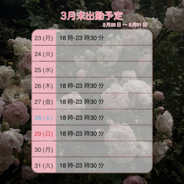 3月出勤日✨