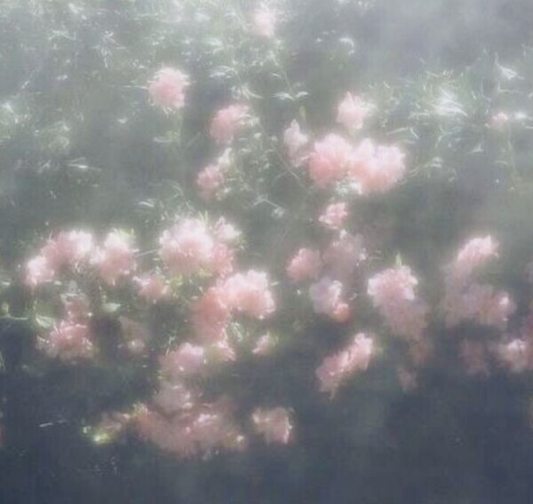 またまたおはようございます！