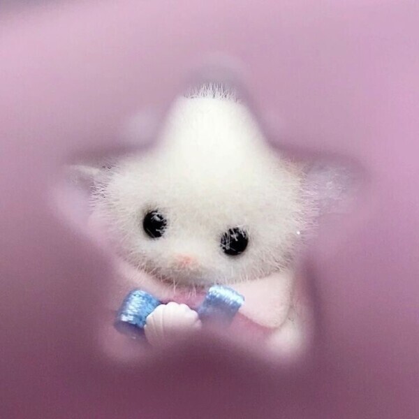 げつようび‎ᯓ★
