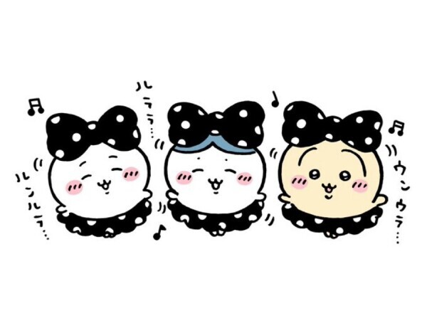 はじめまして さらです💭