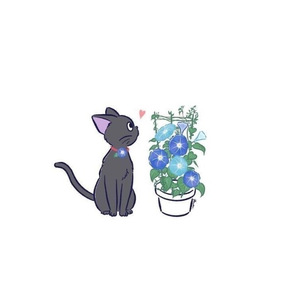 ありがとうございます♥