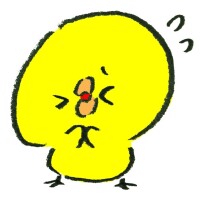 今日います！