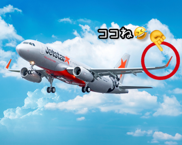 ✈️本当だぁ😆