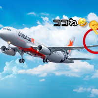 ✈️本当だぁ😆