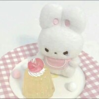 🐰🎀