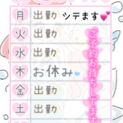 今週の予定🗓️