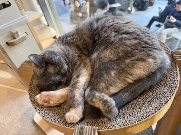おはようございます！