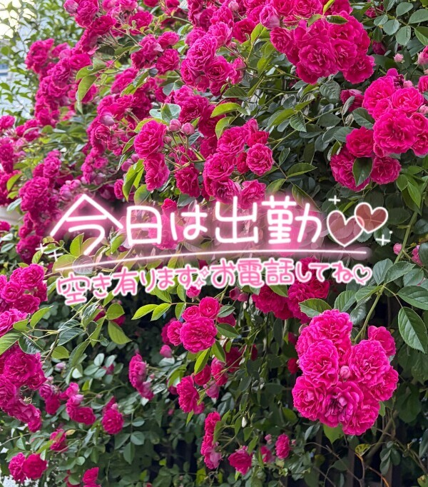 今年初日傘☀️🌞☀️